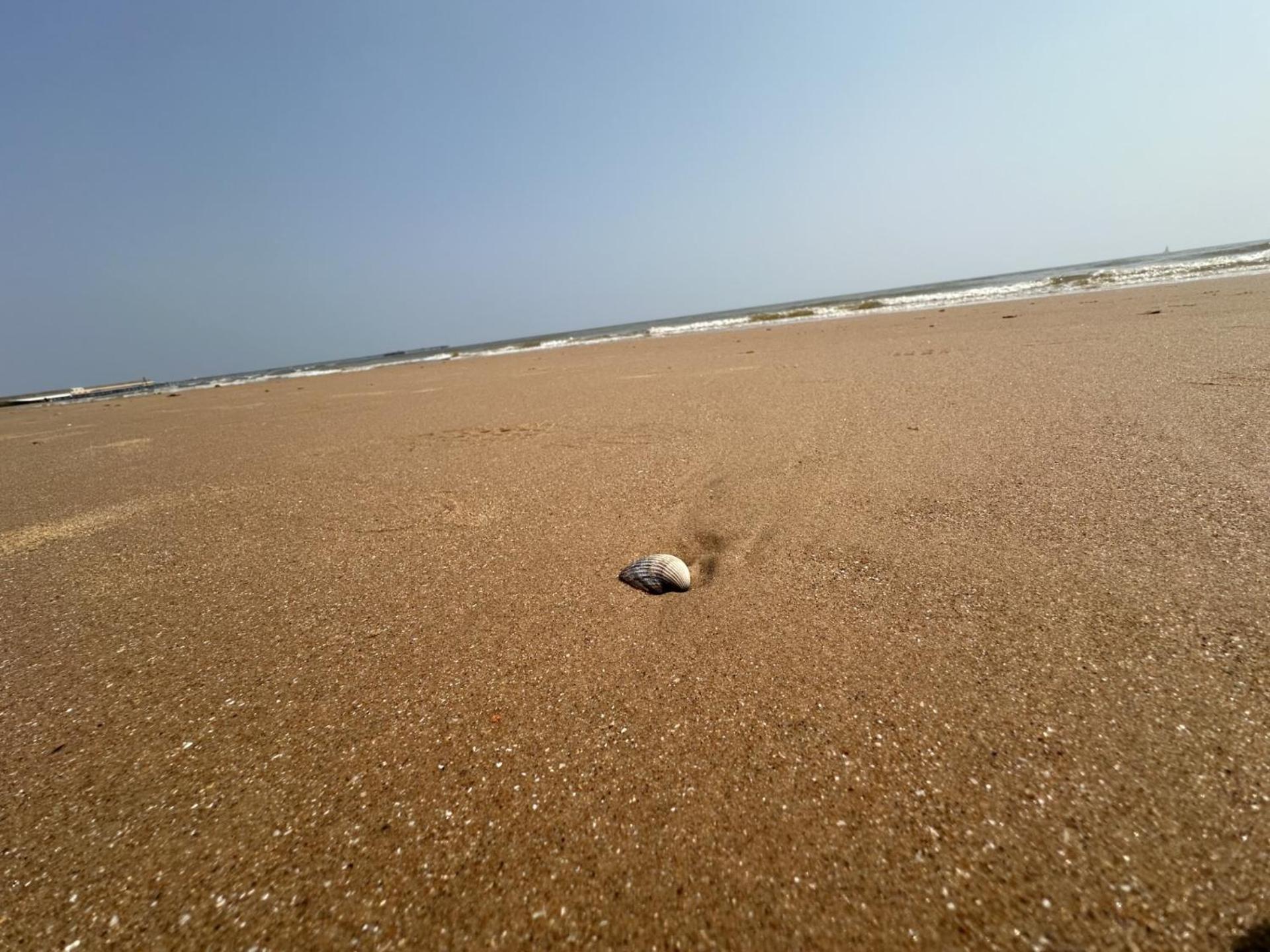 Lets Apartment Walton-on-the-Naze